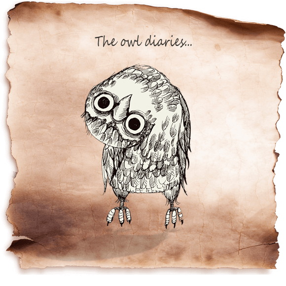The owl diaries
